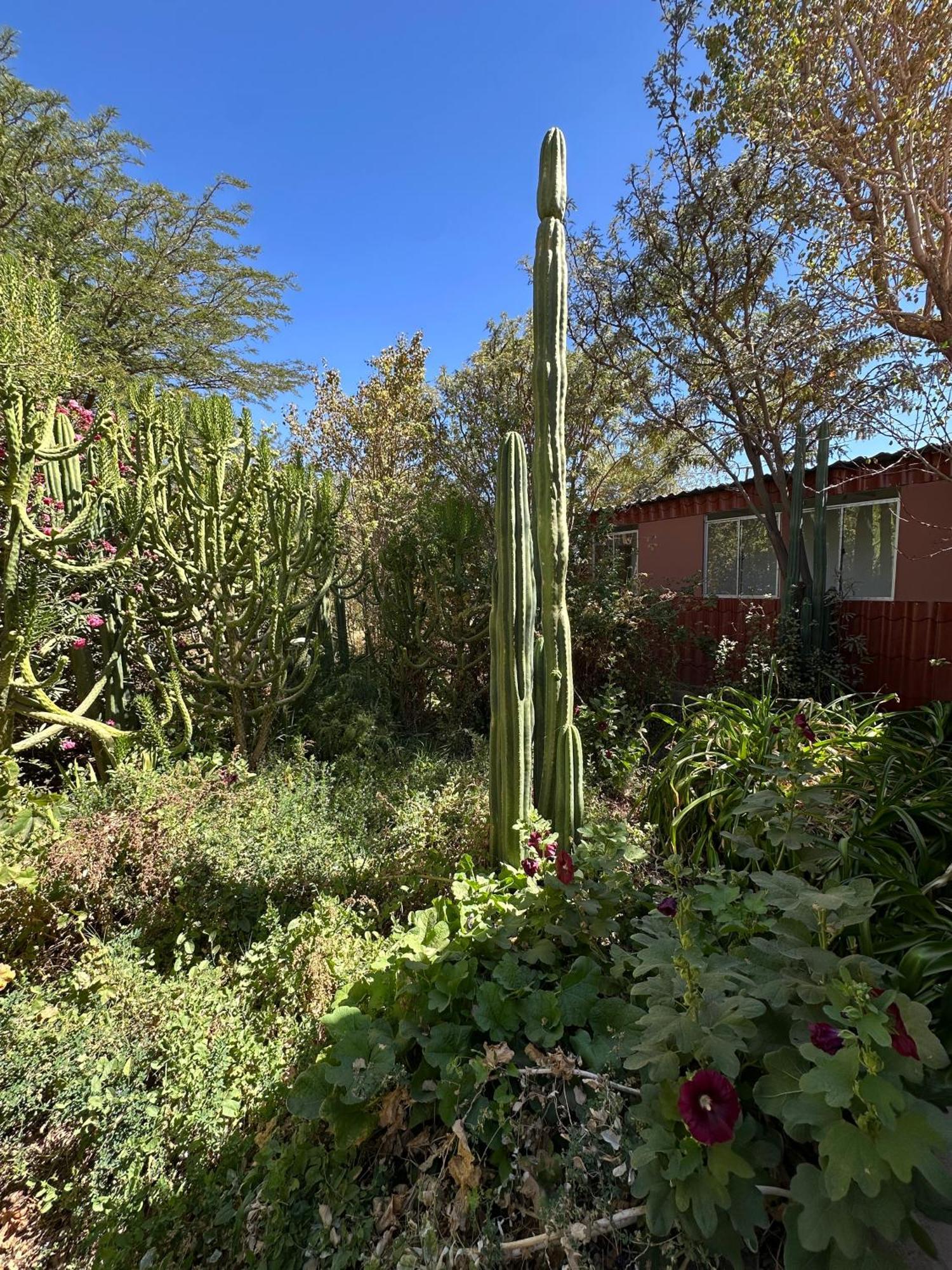 Turisolcor Atacama Apartman San Pedro de Atacama Kültér fotó